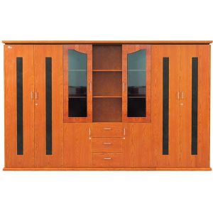 Tủ tài Liệu Giám Đốc The One Hòa Phát DC3246V7 DC3246VM7